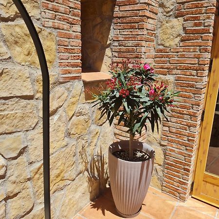 Casa Rural Del Pantano 4 Estrellas Buenache de Alarcon Экстерьер фото
