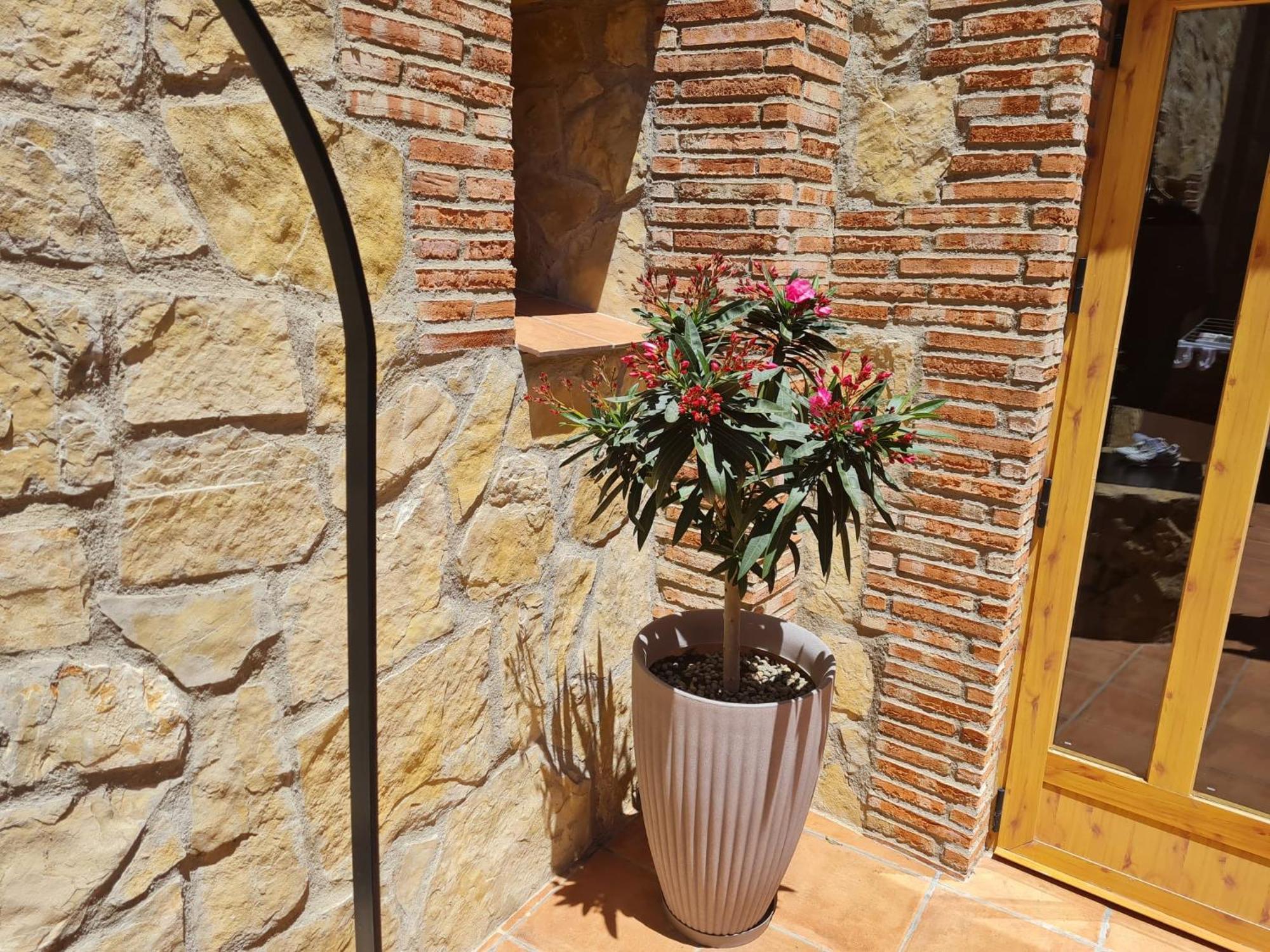 Casa Rural Del Pantano 4 Estrellas Buenache de Alarcon Экстерьер фото